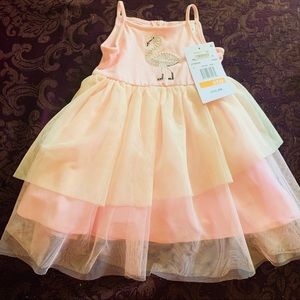 Pink and Ivory Tull Dress